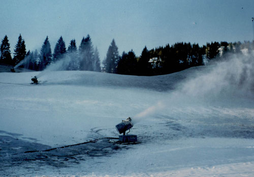 images/geschichte/1984_Beschneiung.jpg